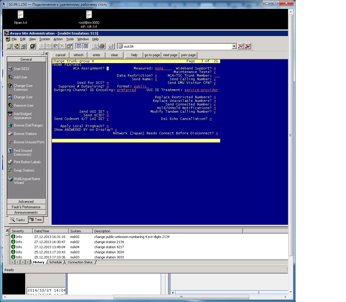 Avaya 4.jpg